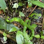 Photo taken by Brian W