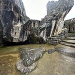 Photo taken by Saba D