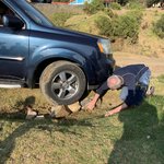 Photo taken by Cindy R