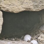 Photo taken by Marcia B