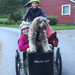 Photo taken by Sharon S