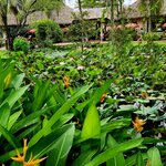 Photo taken by E.J. B