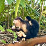 Photo taken by KLAUS A