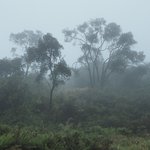 Puracé Valley | Photo taken by Peter G