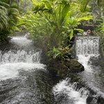 Photo taken by Julie G