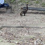 Photo taken by LaTasha J