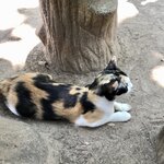 Photo taken by Shaula L