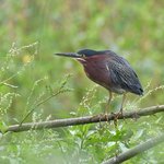 Photo taken by Graeme W