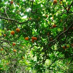 Photo taken by Eric T