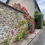 Photo taken by Jodi P