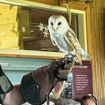 Photo taken by Tina D