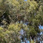 Photo taken by Amy Z