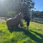 Photo taken by Chris K