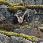 Photo taken by Justin W