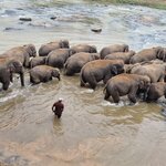 Photo taken by Tanya G