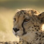 Photo taken by Joaquin M