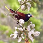 Photo taken by KLAUS A