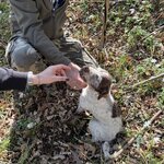 Photo taken by Brent B