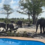 Photo taken by Kaye D