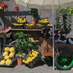 Photo taken by Courtney S