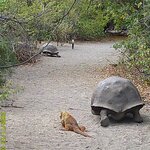 Photo taken by Richard P