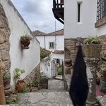 Photo taken by Alyson P