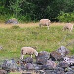 Photo taken by Tamara N