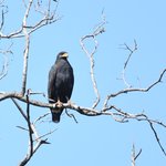 Photo taken by Graeme W