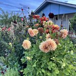 Photo taken by Lisa S