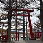 Photo taken by Charlotte B