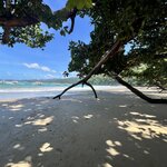 Photo taken by Edit M