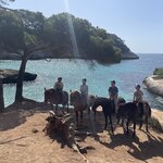 Photo taken by Diana C