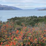 Photo taken by Carmen P