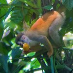 Photo taken by Erna P