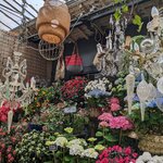 Photo taken by Hunter M