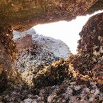 Photo taken by E.J. B