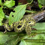 Photo taken by Tiphanny C