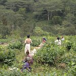 Photo taken by Randall C