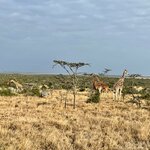 Photo taken by Julien C