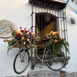 Photo taken by Kim S