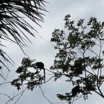 Photo taken by Deborah S