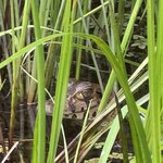 Photo taken by Emily F