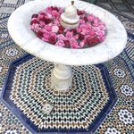 Photo taken by Kristy T