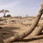 Photo taken by Chris M