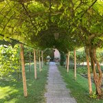 Photo taken by Susan M