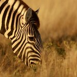 Photo taken by Joaquin M