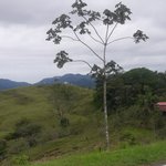 Photo taken by Claudia S