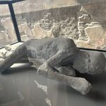 Photo taken by Sabrina M