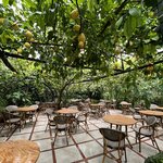 Photo taken by Tracy F