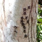 Photo taken by Graeme W